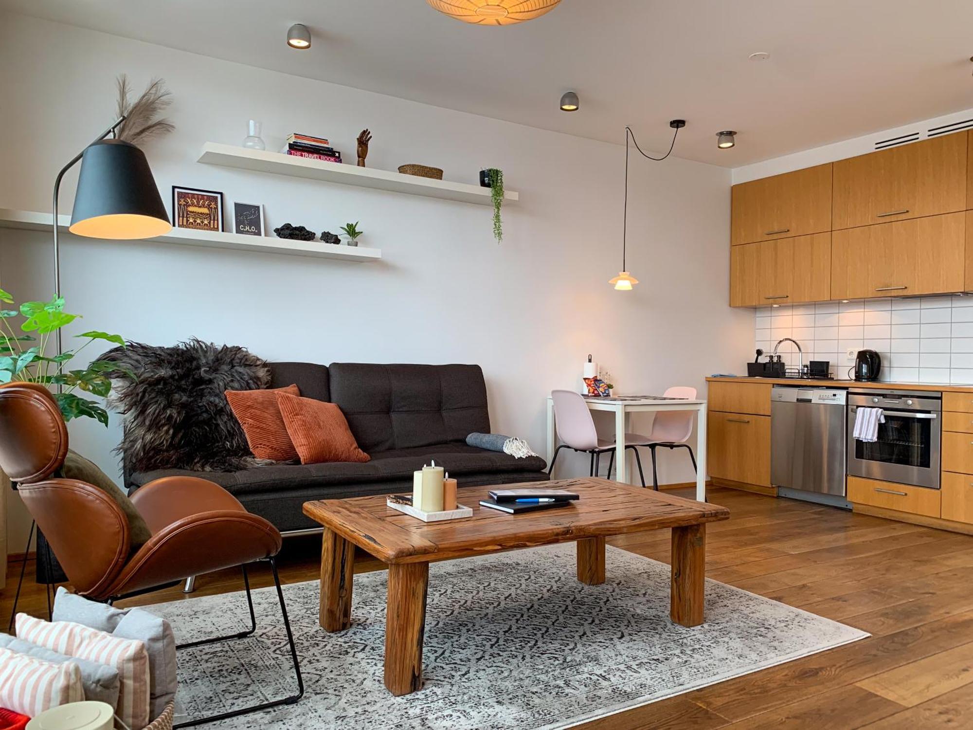 Apartamento Laugavegur Penthouse